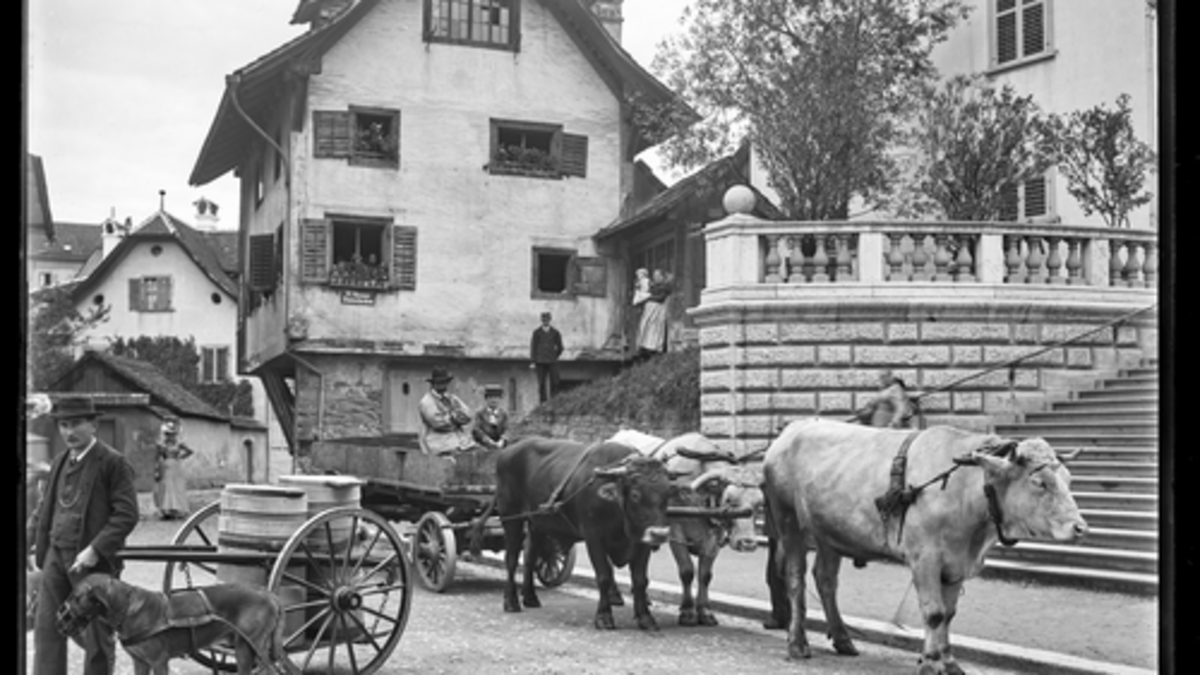 Institut für Geschichtliche Landeskunde Rheinland-Pfalz e.V. Arbeitende Tiere vom 18 bis ins 20. Jahrhundert:-